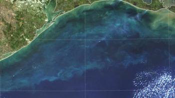 Satellite image of the northern Gulf of Mexico