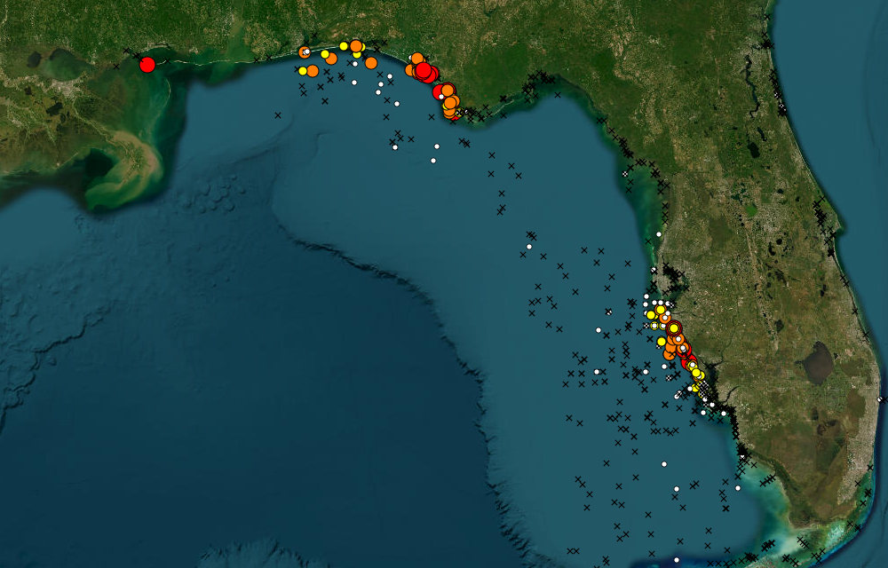 HABSOS Cell Count map screenshot, showing data off the West and North coasts of Florida, and the coasts of Alabama and Mississippi