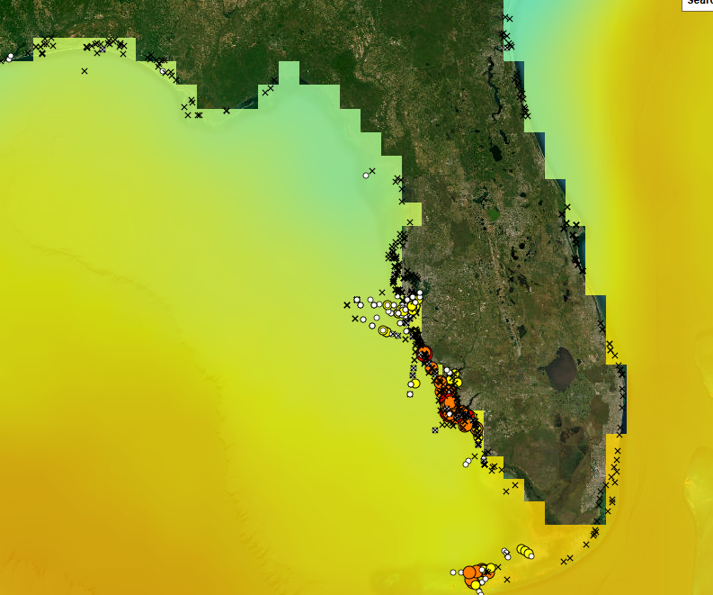 HABSOS Daily Optimum Interpolation Sea Surface Temperature (DOISST) layer screenshot off of the Florida coast.