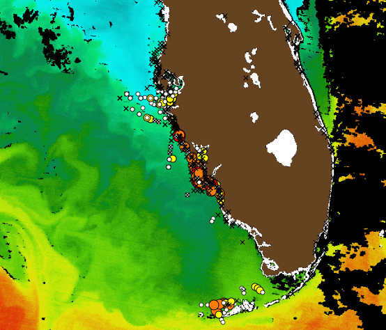 HABSOS remote sensing layer screenshot (sea surface temperature from USF), showing data off the Florida coast.